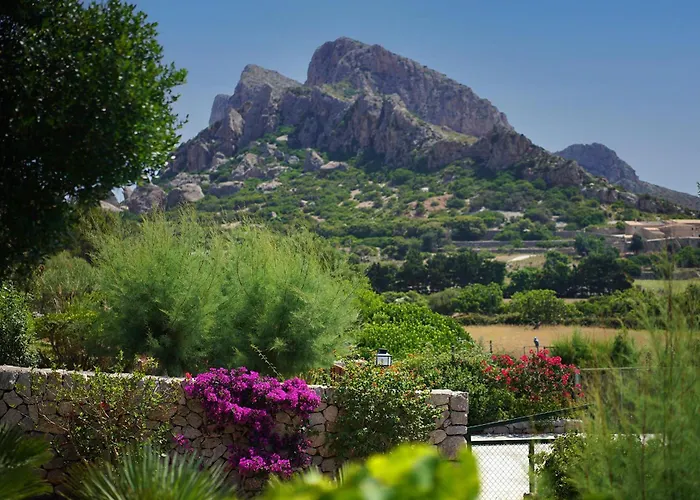 Hébergement de vacances Boquer Petit - Piedra